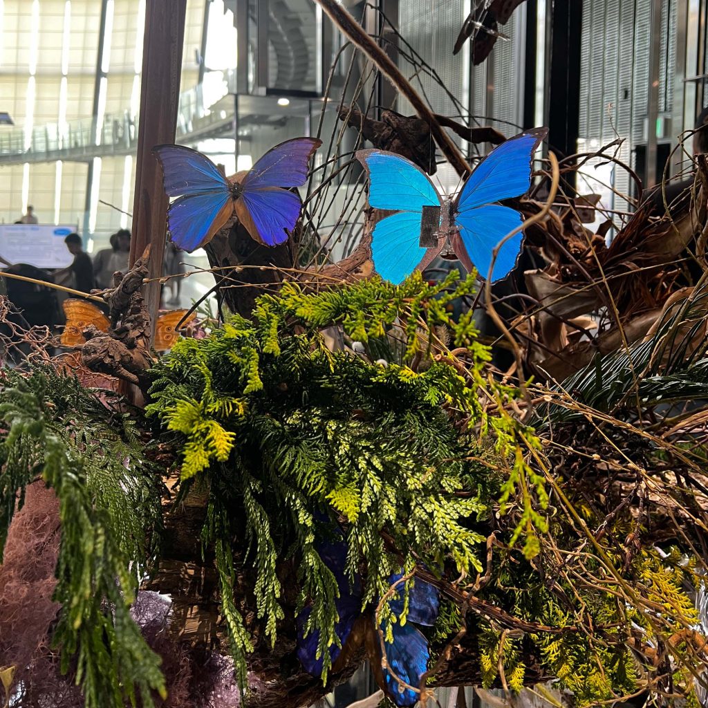 Odaiba những cánh bướm máy