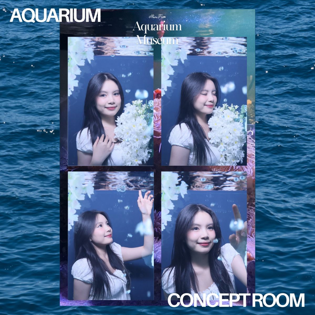 aquarium concept room harufilm