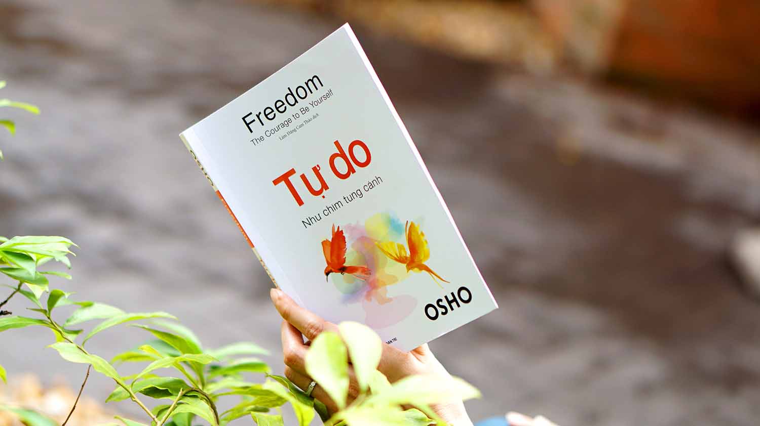 cuốn sách tự do của tác giả osho được ra mắt thu hút khán giả