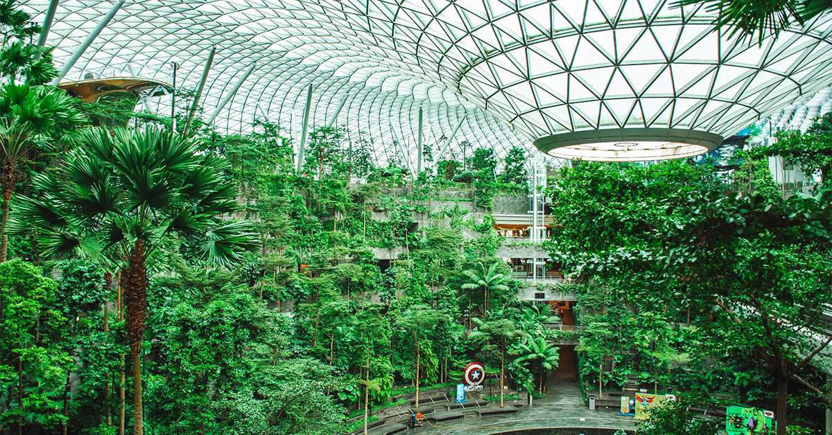 Khung cảnh khu vườn sân bay Changi Singapore