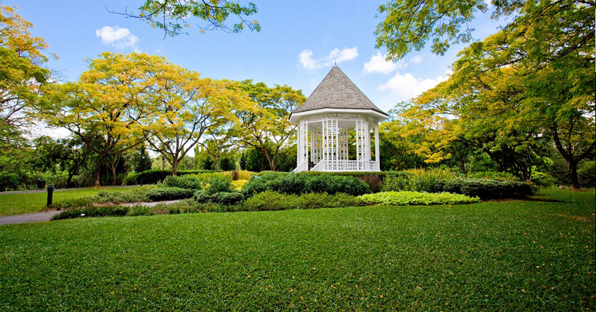 Khung cảnh ngập nắng tại Vườn Bách Thảo Singapore