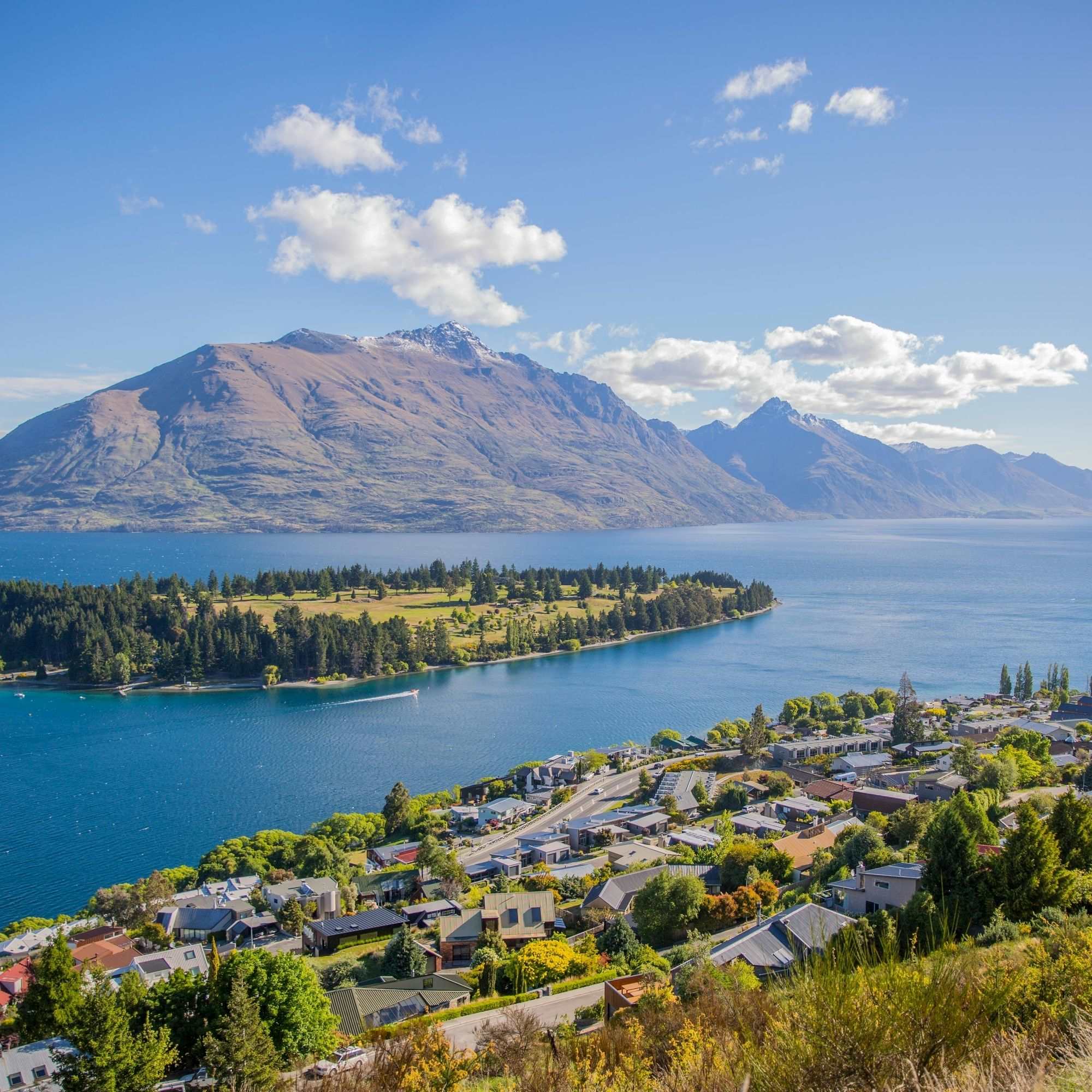 new zealand đất nước dành cho nhân mã