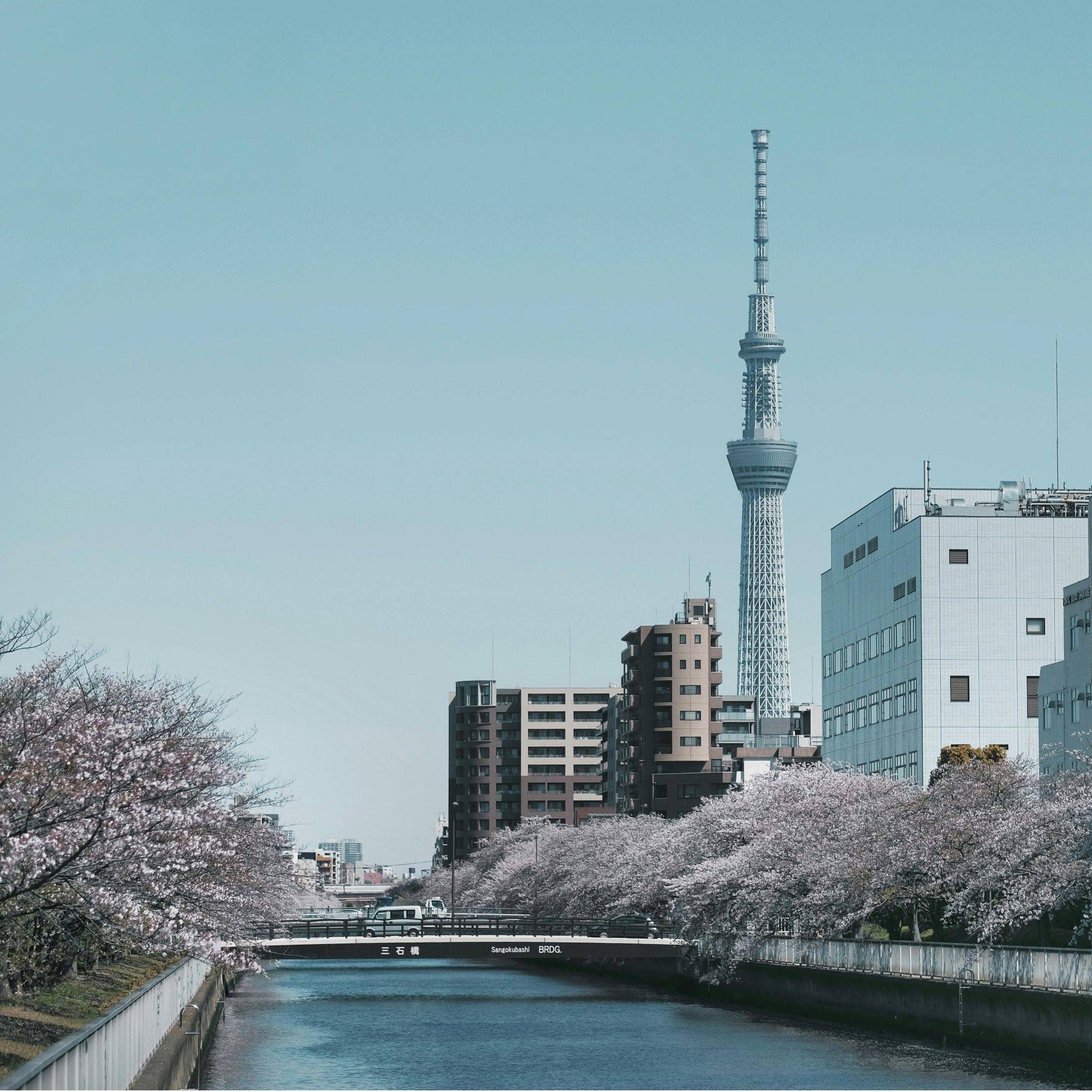tokyo nhật bản