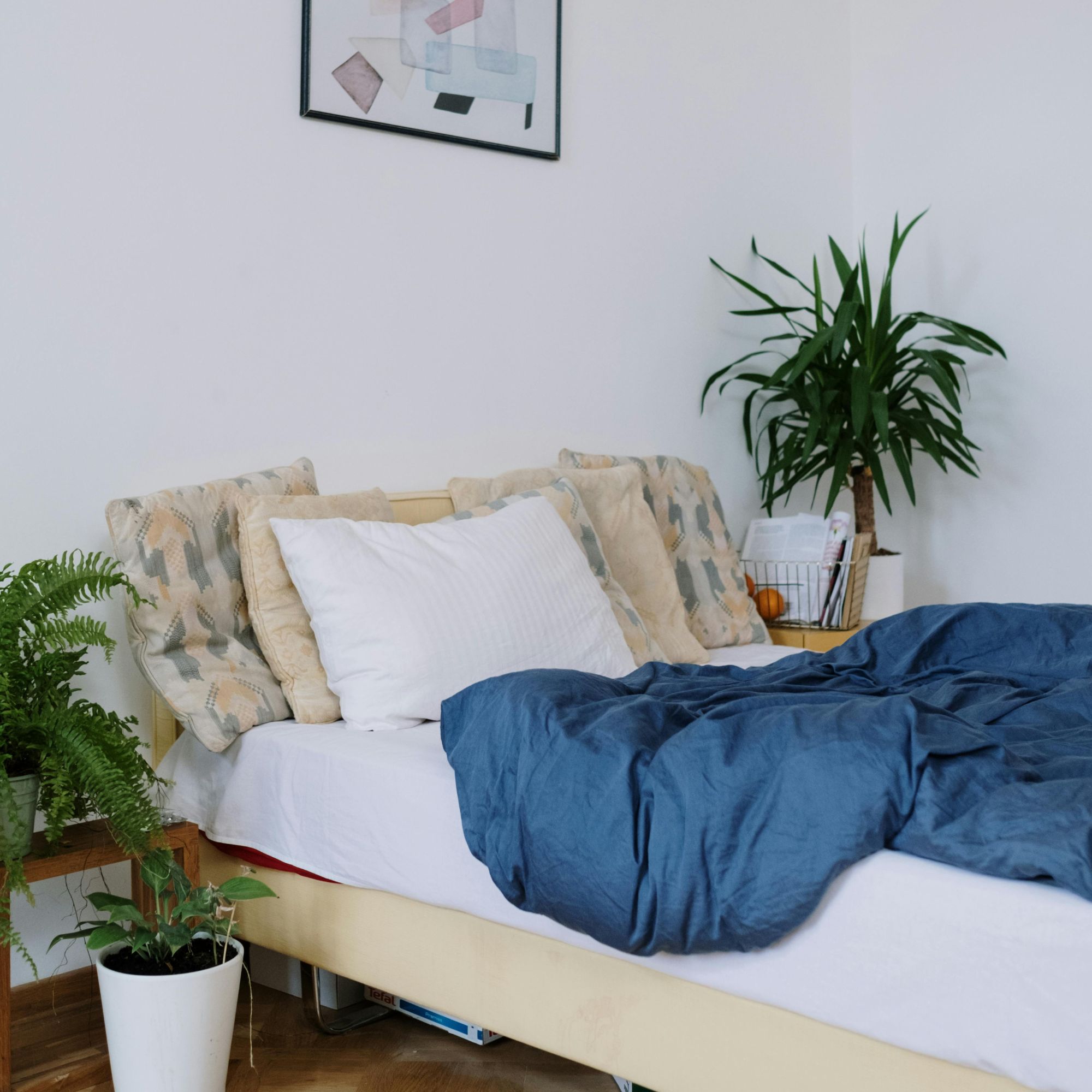 phòng ngủ có cây xanh hợp phong thủy