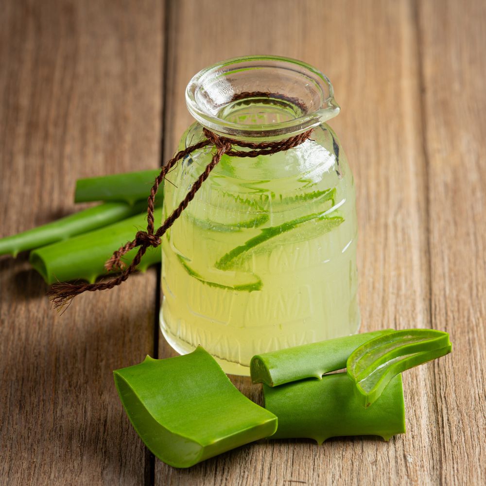 nước nha đam giải nhiệt