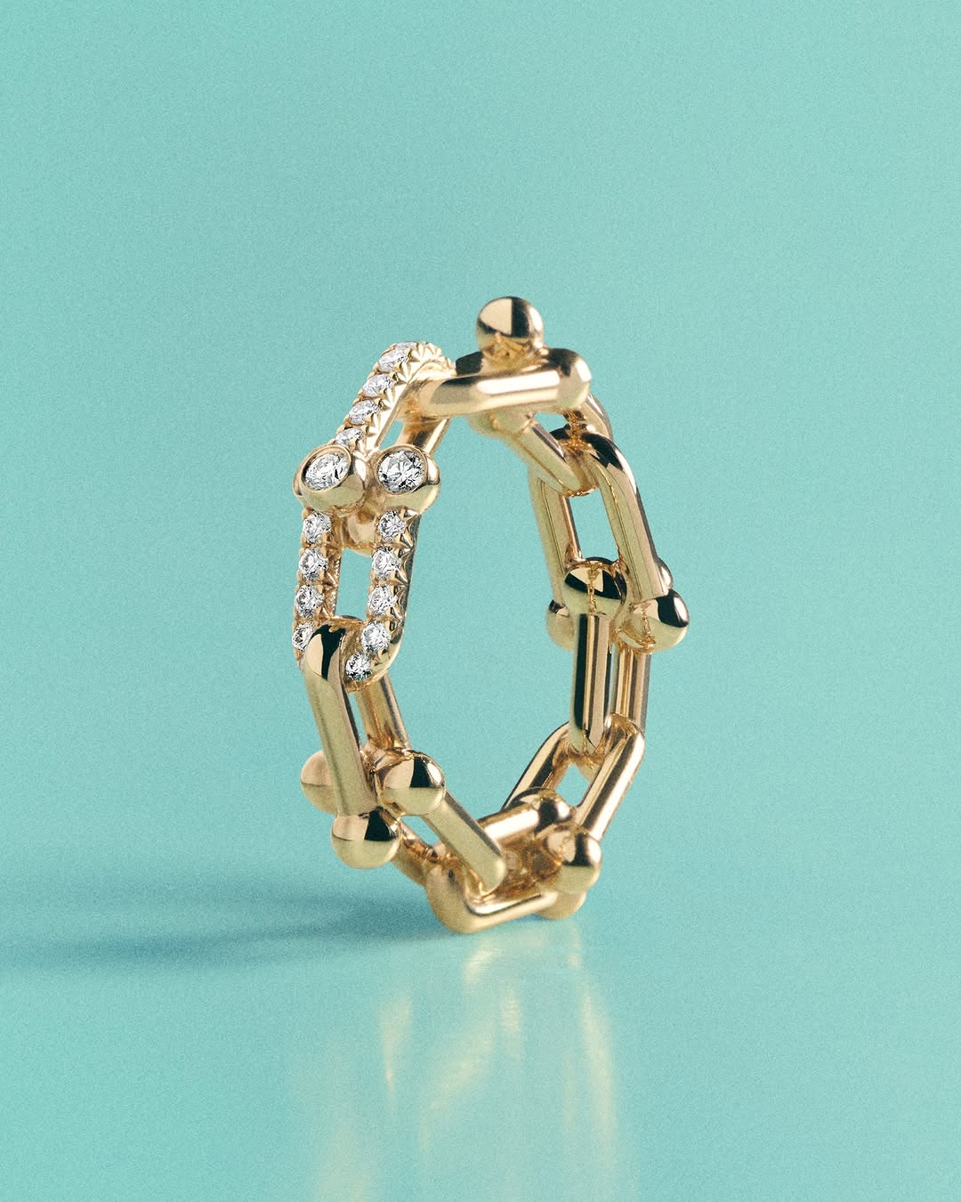 Tiffany & Co. hoa tai 