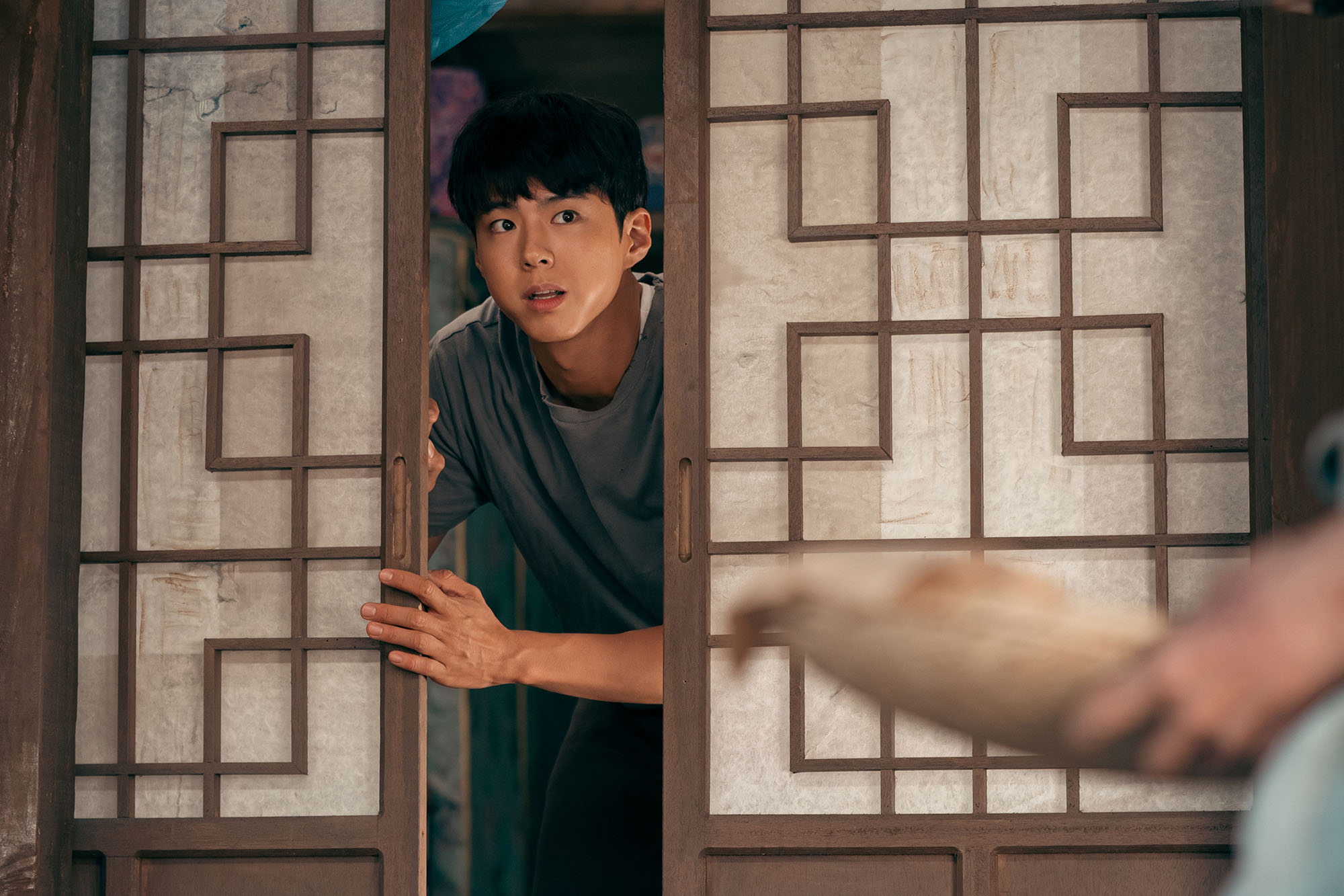 park bo gum trong vai gwan sik trong when life gives you tangerines