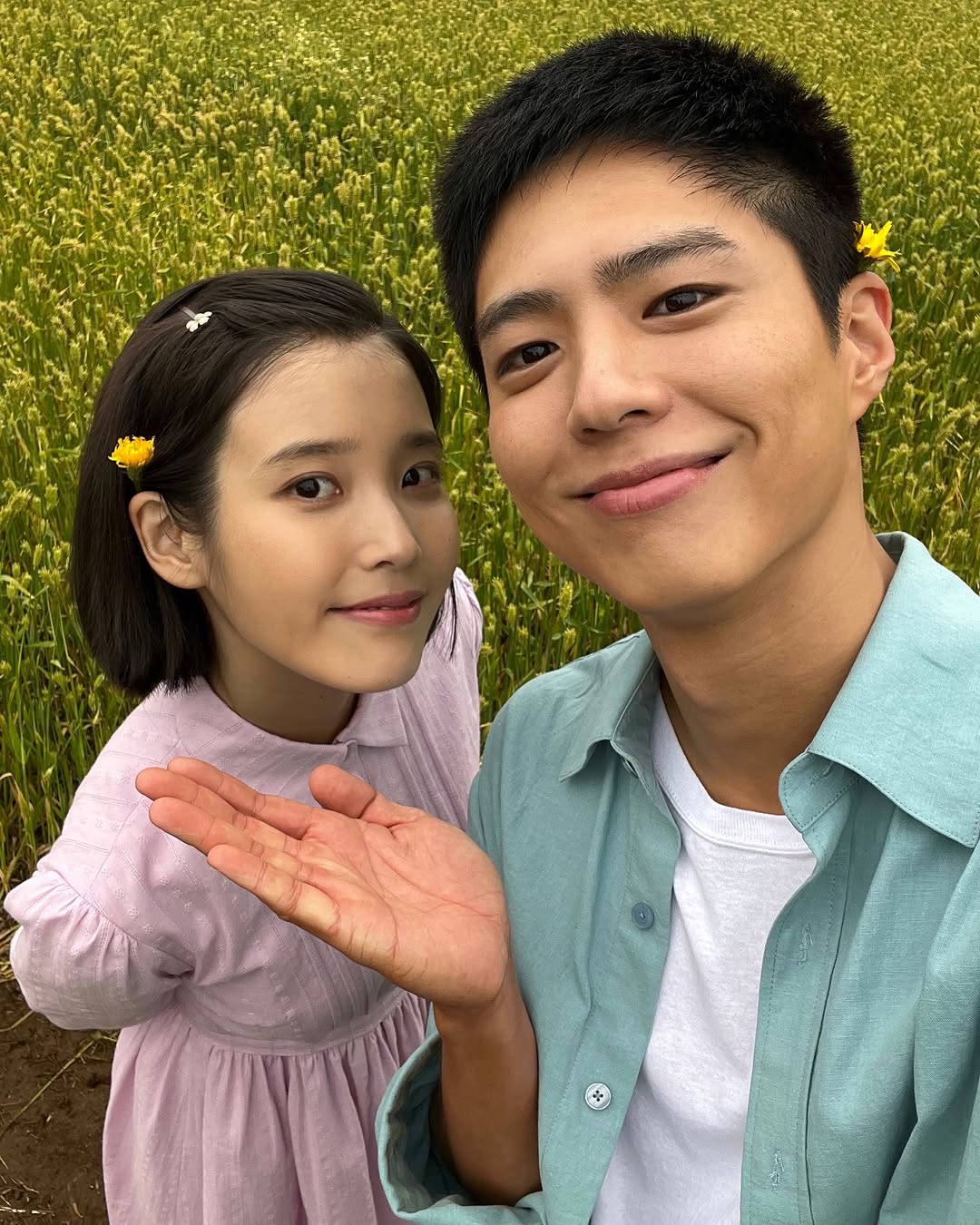 iu và park bogum trong phim Khi cuộc đời cho bạn quả quýt