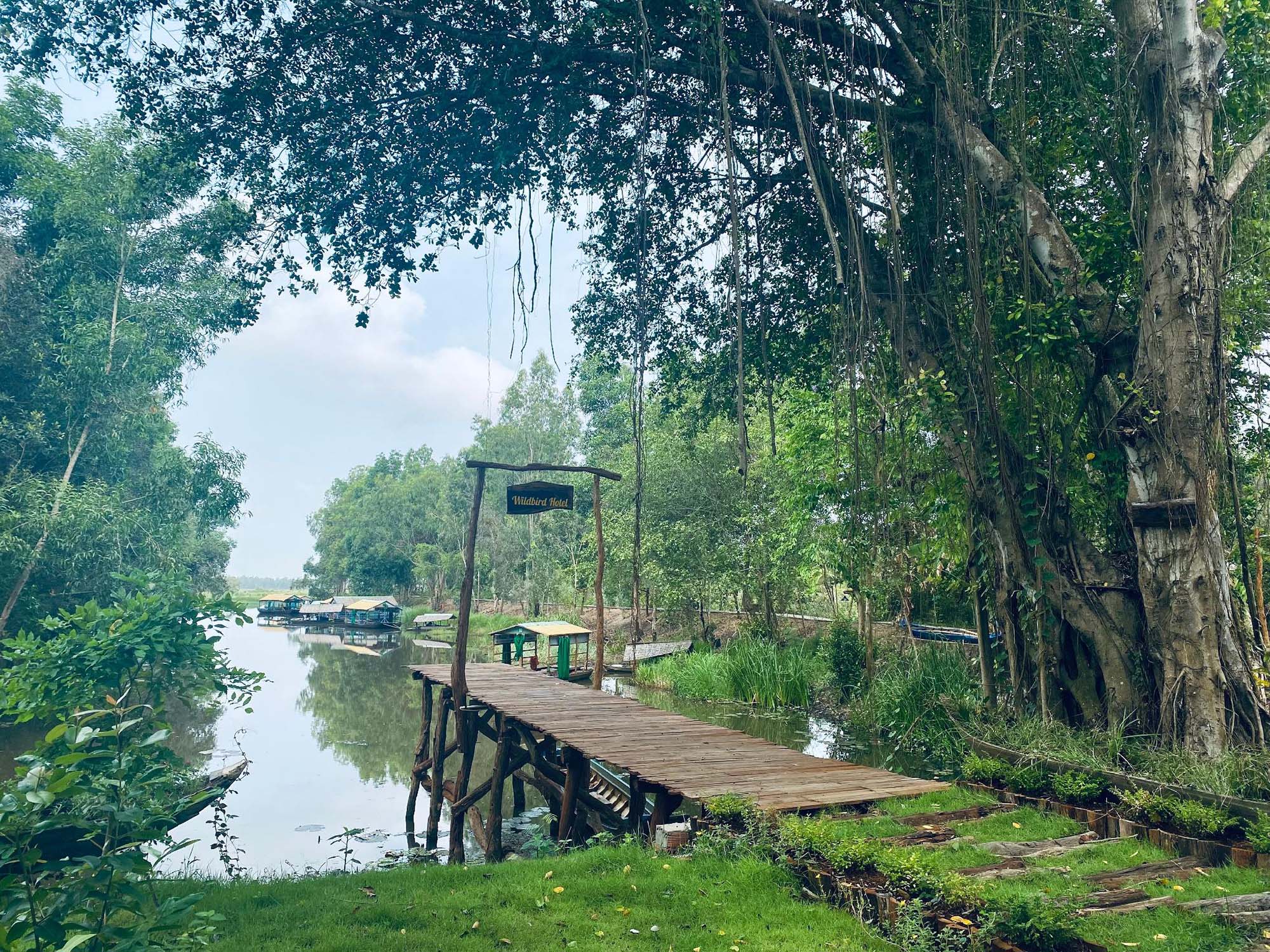 địa điểm wildbird hotel