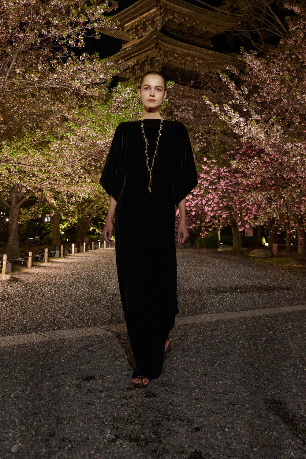 đầm maxi nhung Dior Fall 2025