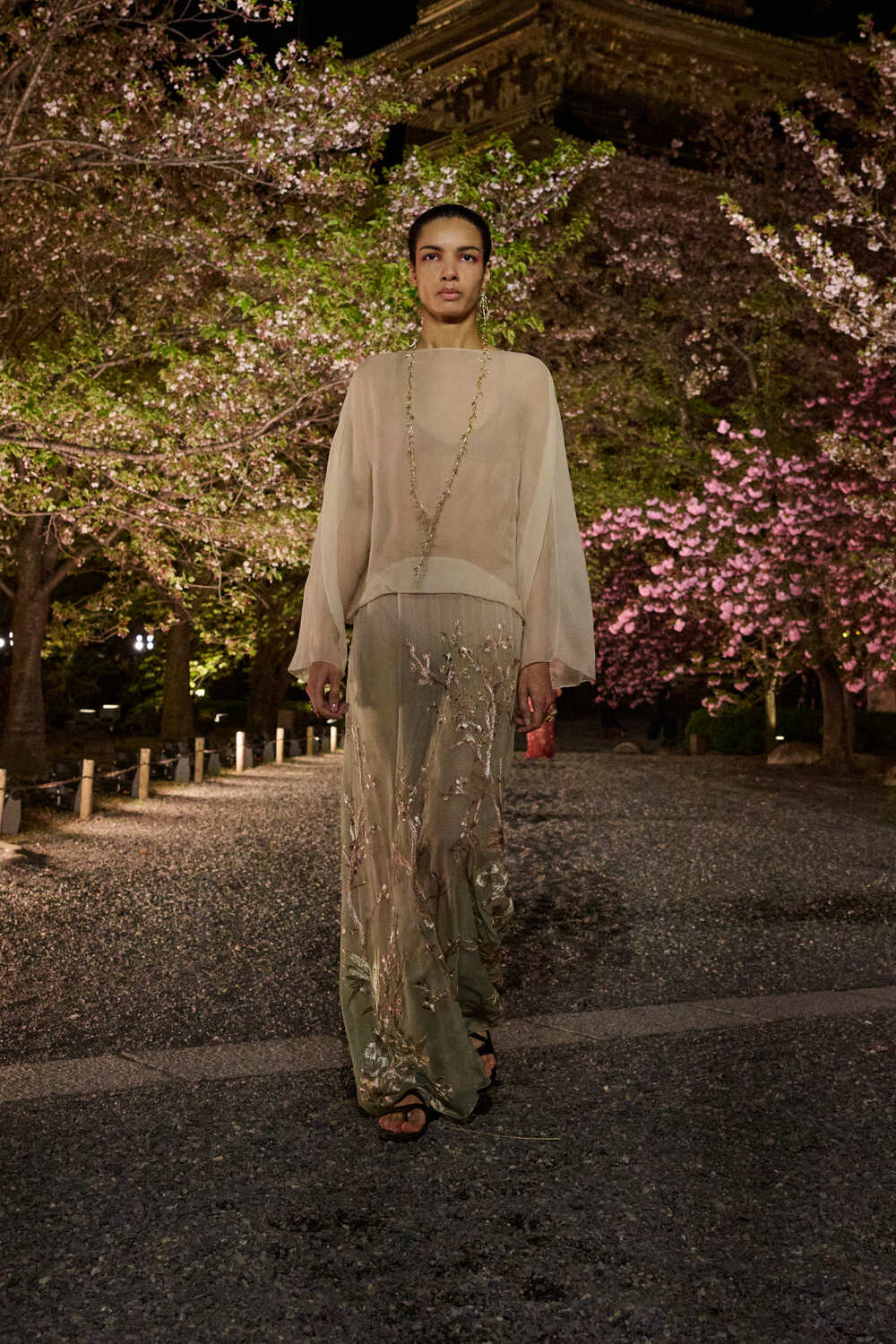 đầm xuyên thấu Dior Fall 2025
