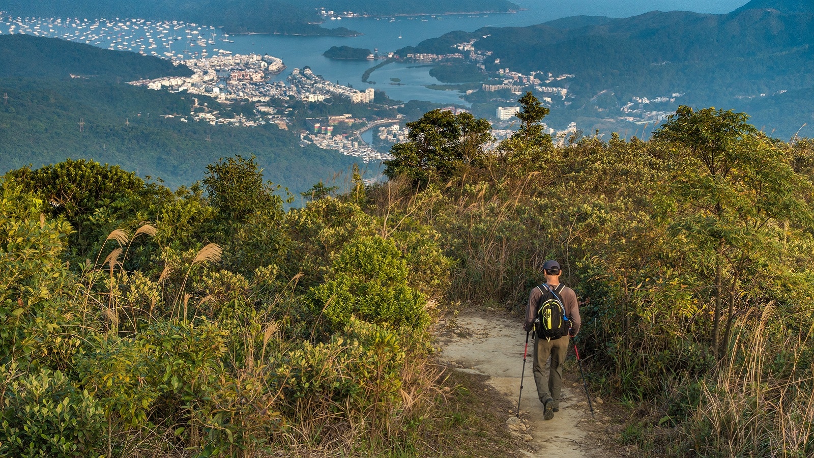 đường mòn Lưng Rồng (Dragon’s Back Trail