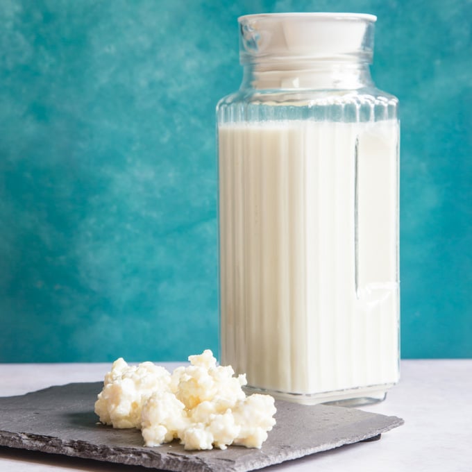 kefir