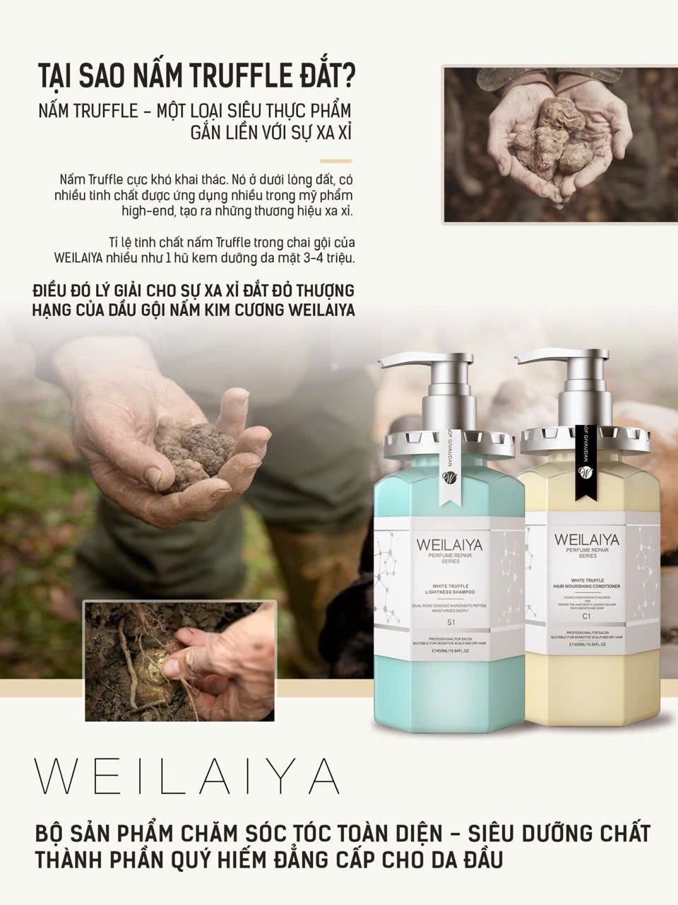 Mô tả thành phần của bộ đôi dầu gội - dầu xả Weilaiya White Truffle.