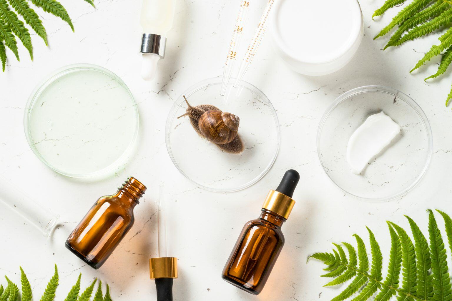 Ốc sên nằm giữa serum và kem dưỡng.