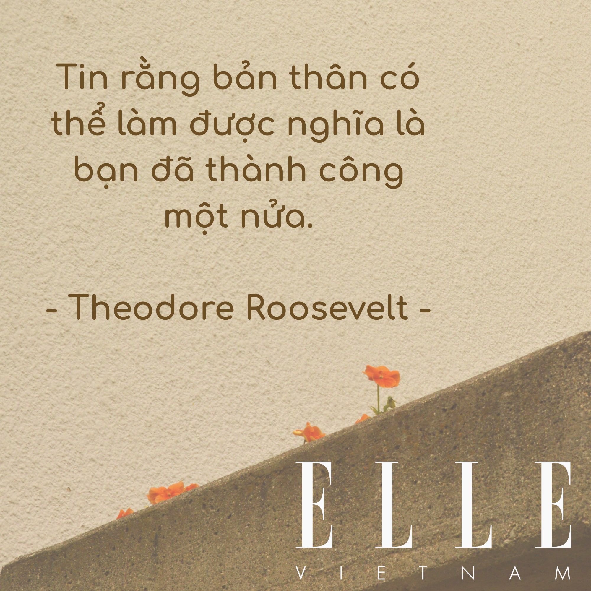 câu nói hay truyền đ65ng lực bản thân của Theodore Roosevelt