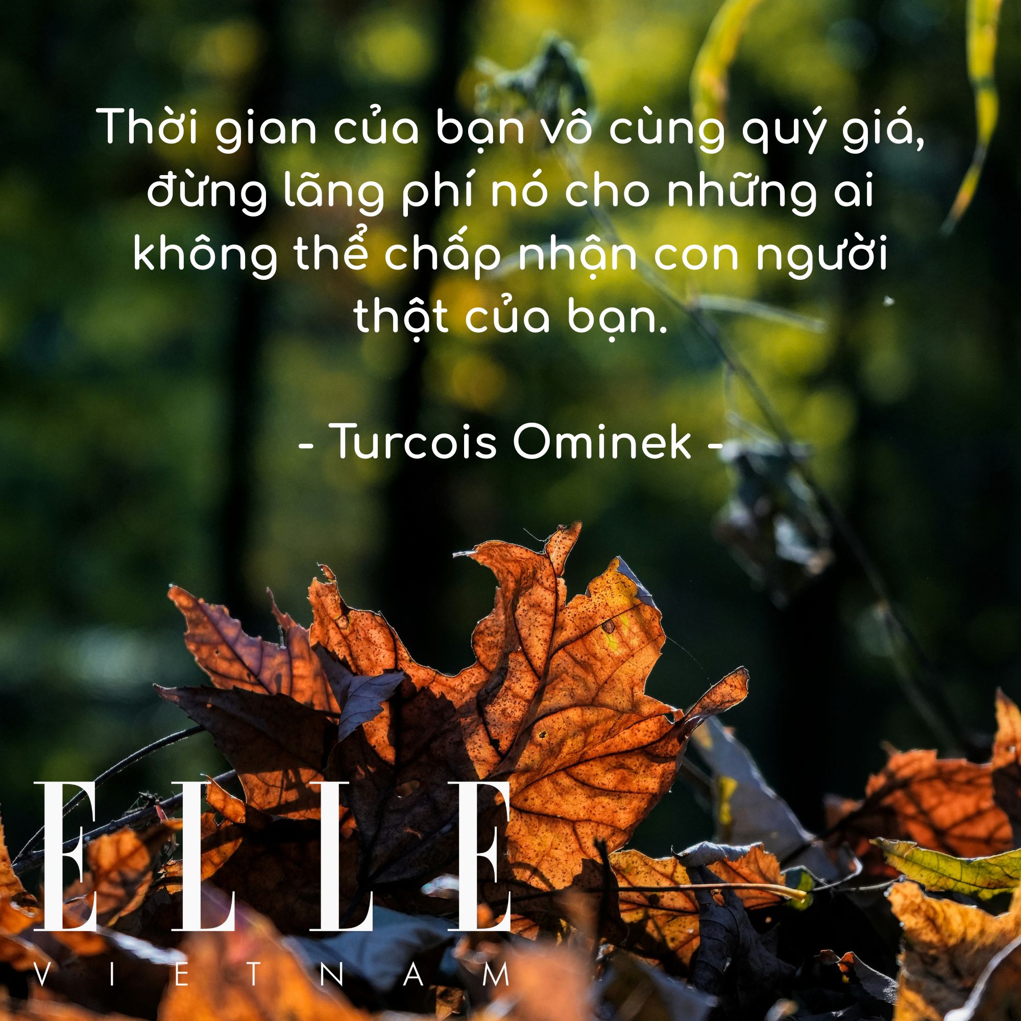câu nói hay truyền động lực của Turcois Ominek, tác giả người Mỹ.