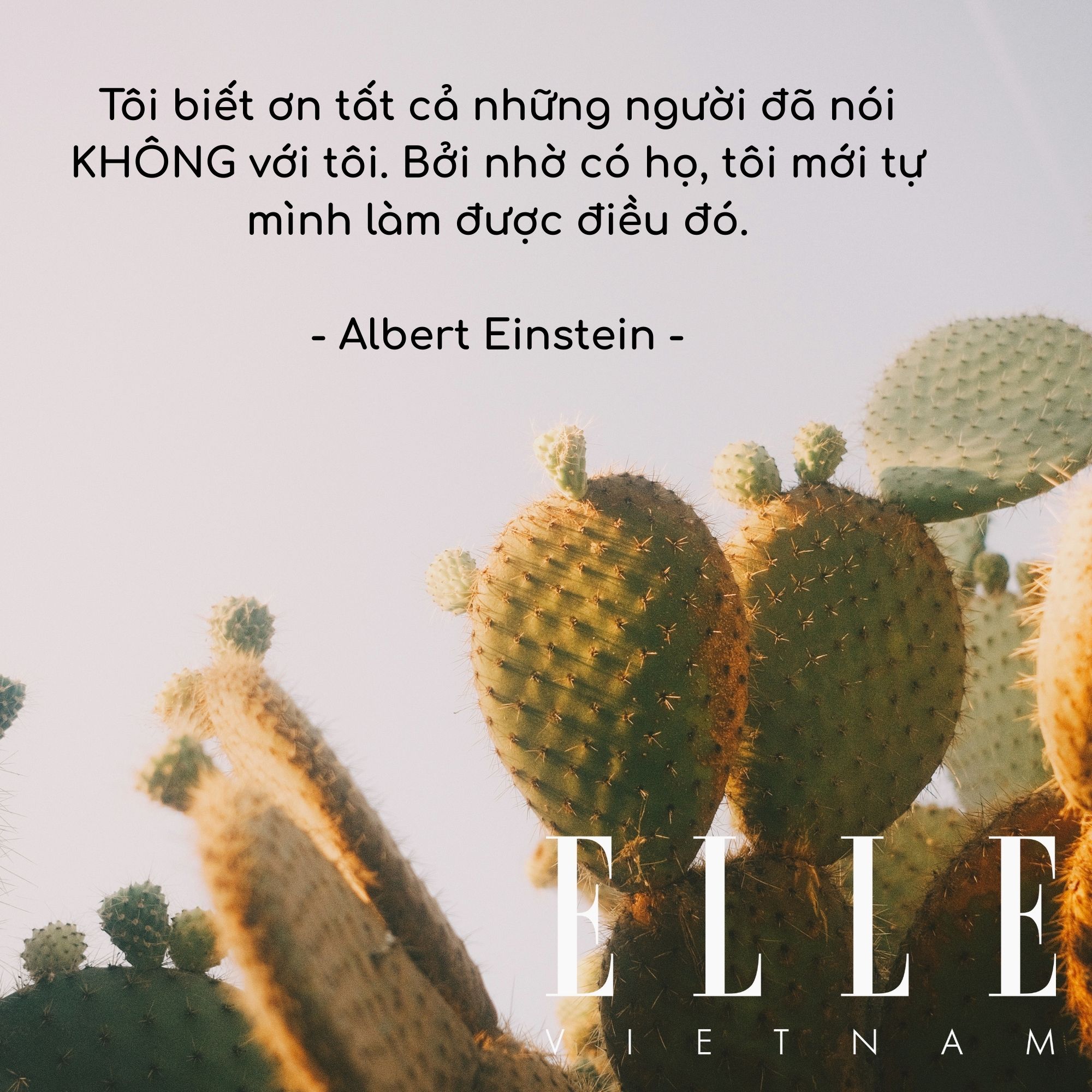 câu nói hay củaAlbert Einstein, nhà vật lý học vĩ đại người Đức gốc Do Thái.