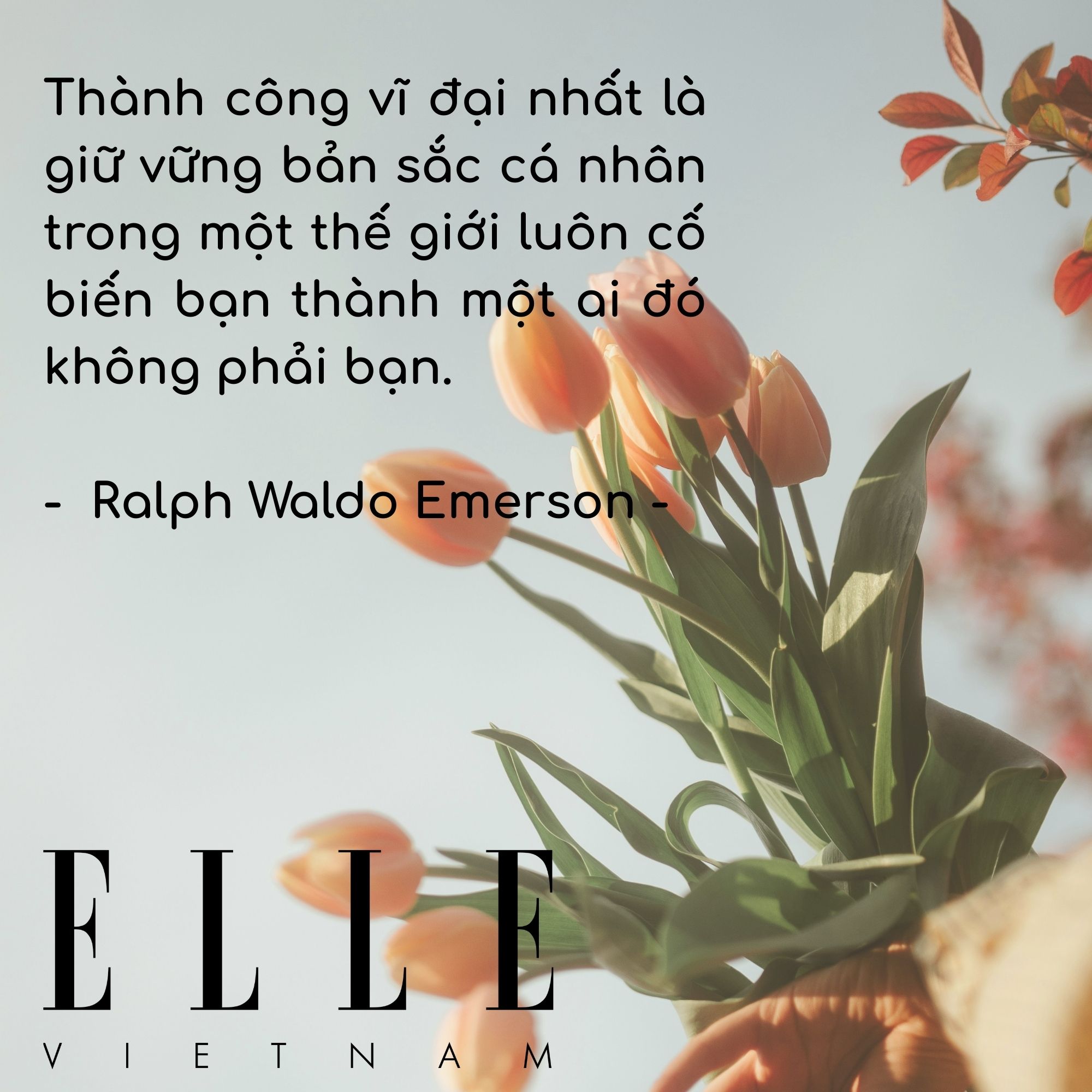 câu nói hay truyền động lực của Ralph Waldo Emerson, giảng viên, nhà thơ và triết gia người Mỹ.