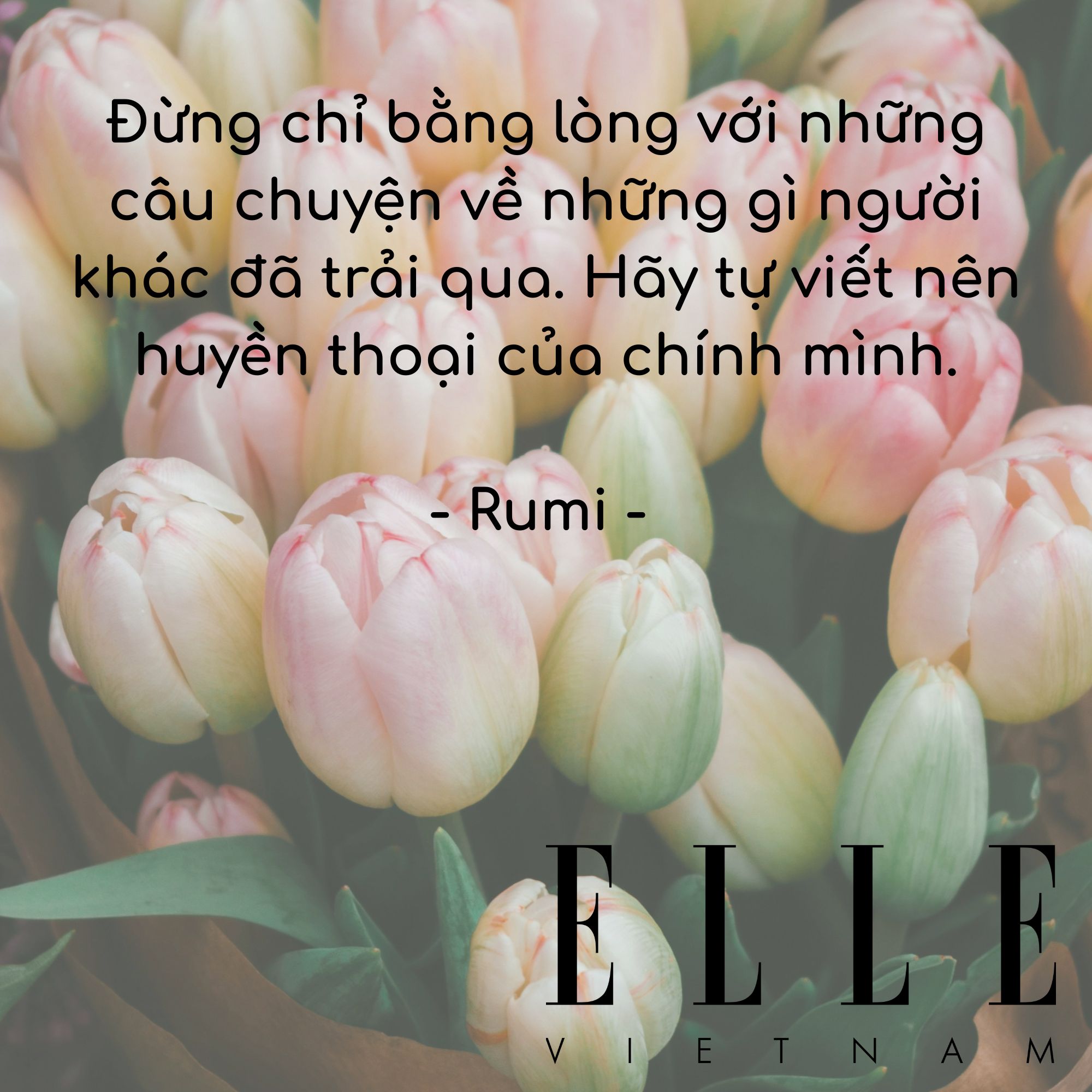 câu nói hay giúp bạn tin vào bản thân