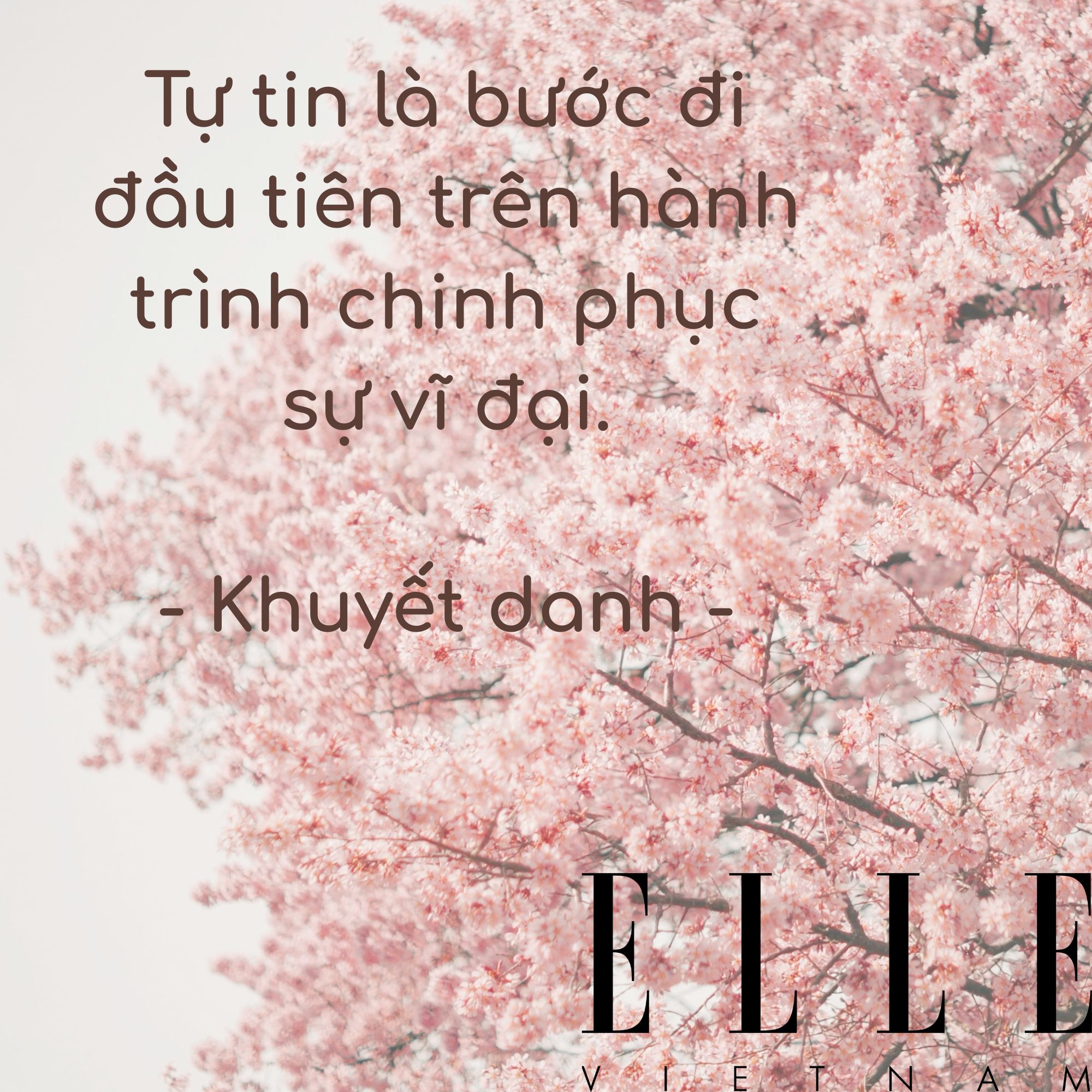 câu nói hay truyền động lực