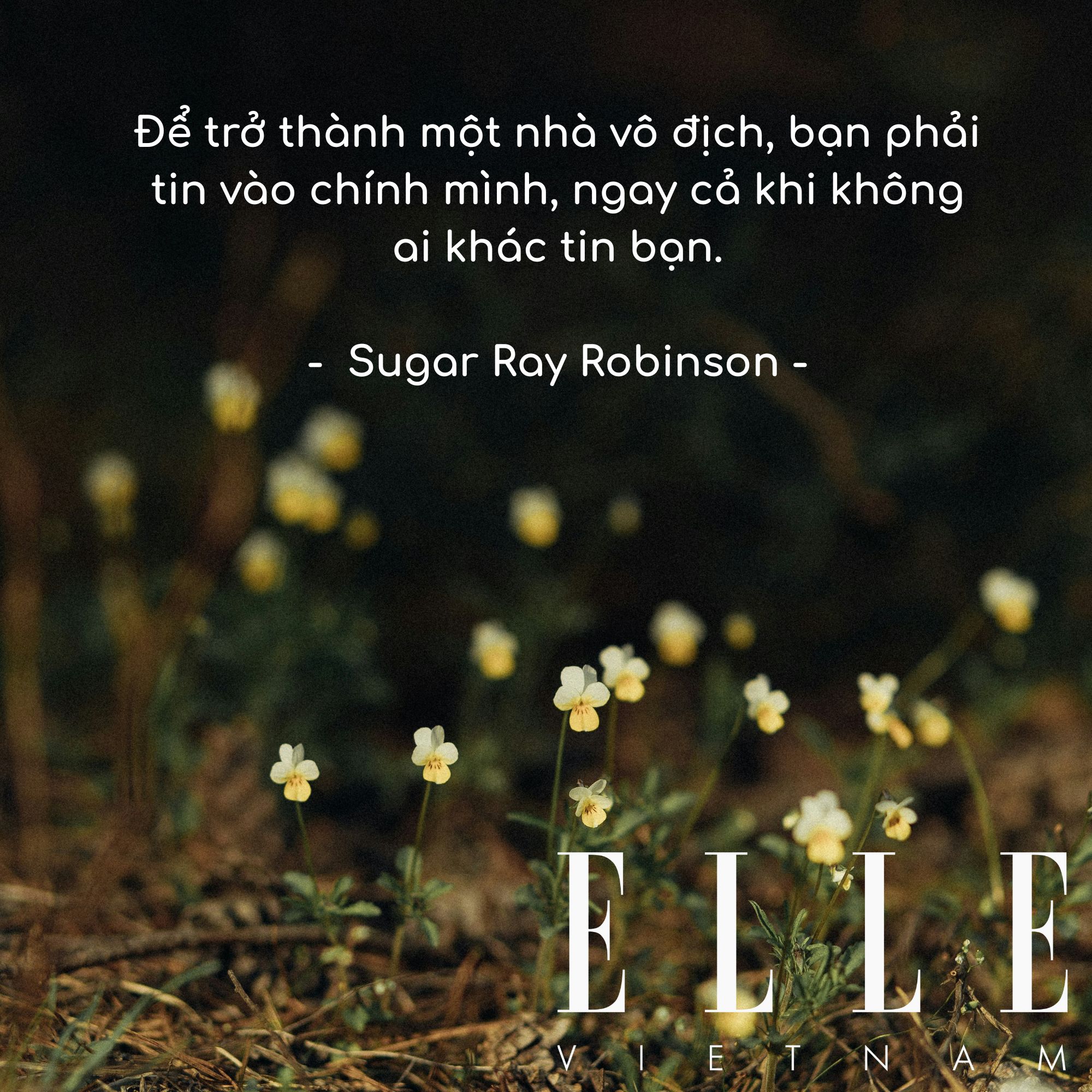 câu nói hay truyền động lực của Sugar Ray Robinson, võ sĩ quyền Anh chuyên nghiệp người Mỹ.