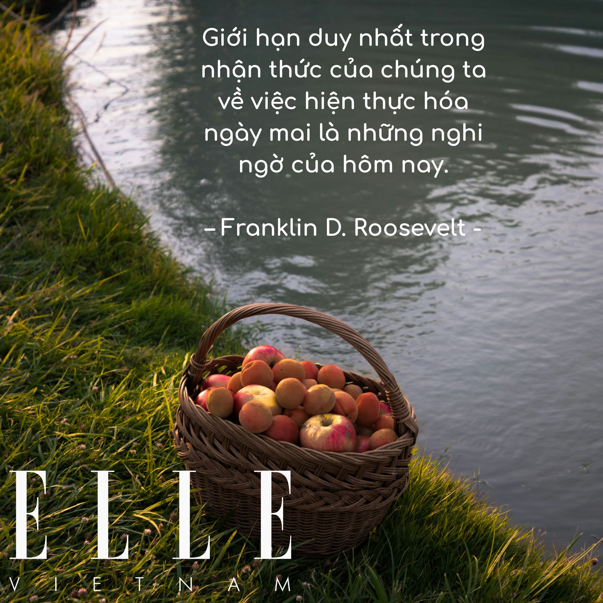 câu nói hay của Franklin D. Roosevelt, cựu Tổng thống Mỹ.