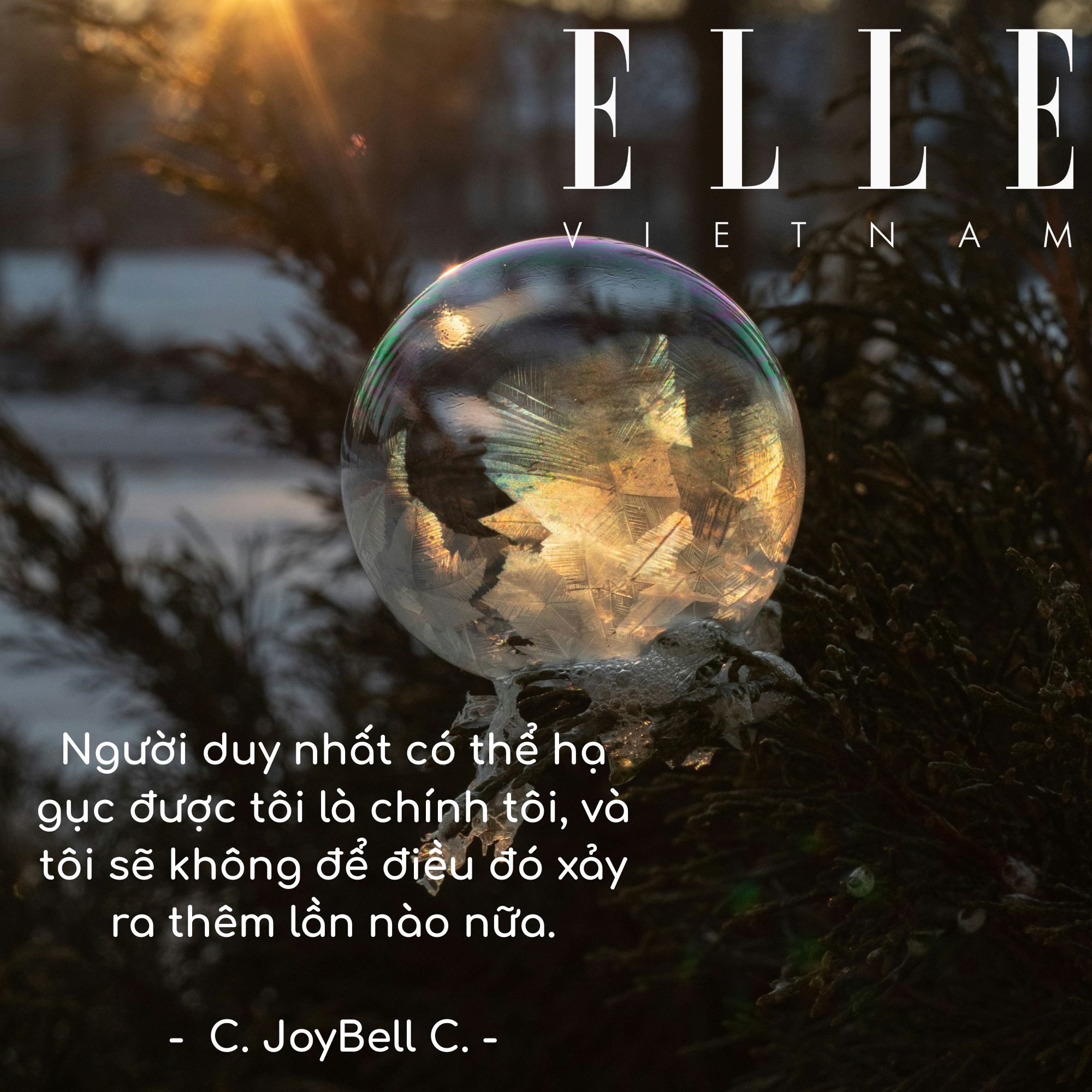 câu nói hay truyền động lực tin vào bản thân của C. JoyBell C., tác giả người Mỹ.