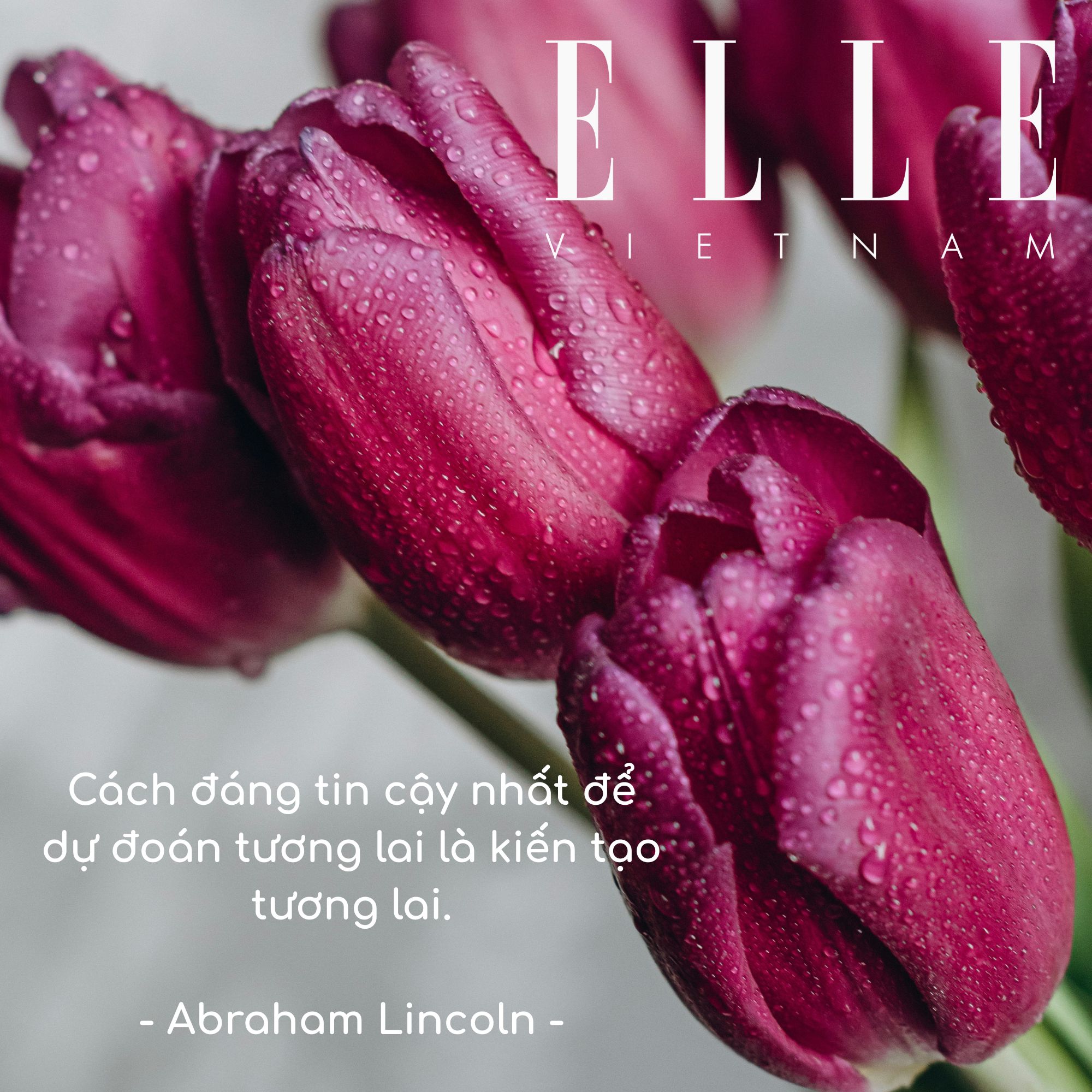 câu nói hay truyền động lực của Abraham Lincoln