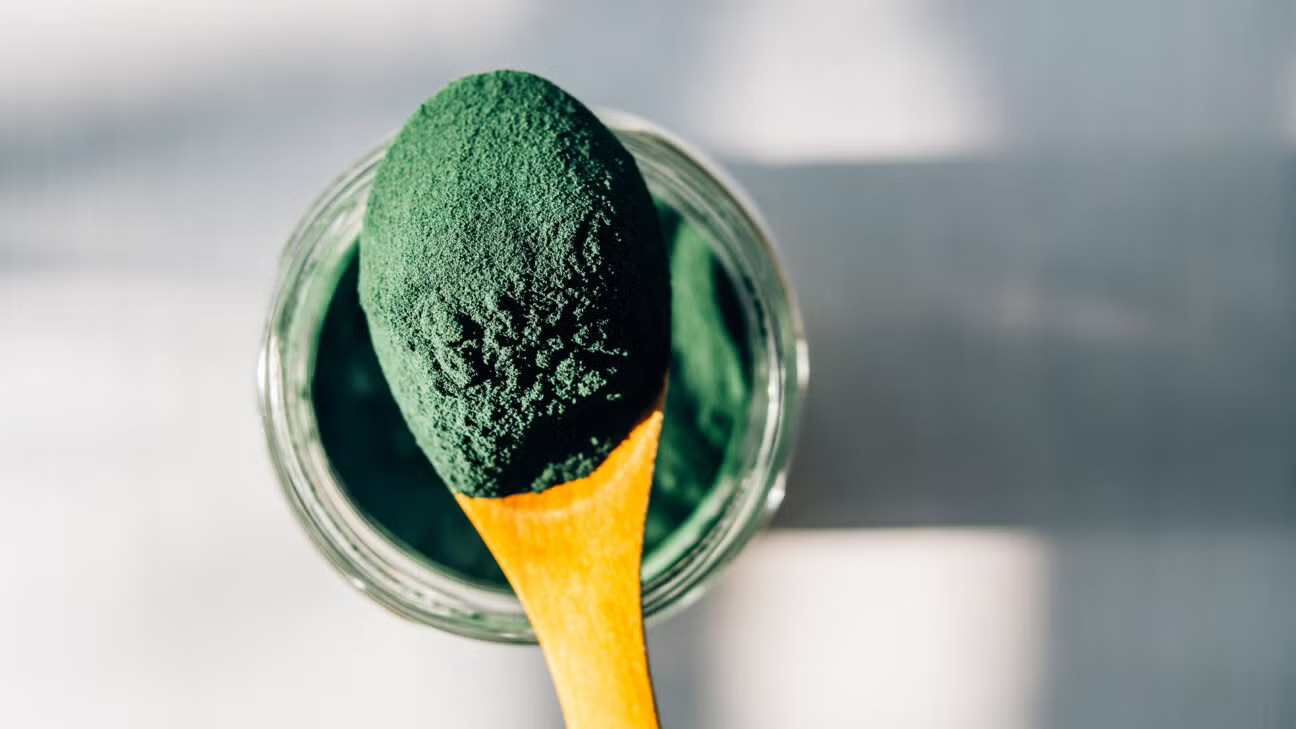 tảo xoắn spirulina ở dạng bột