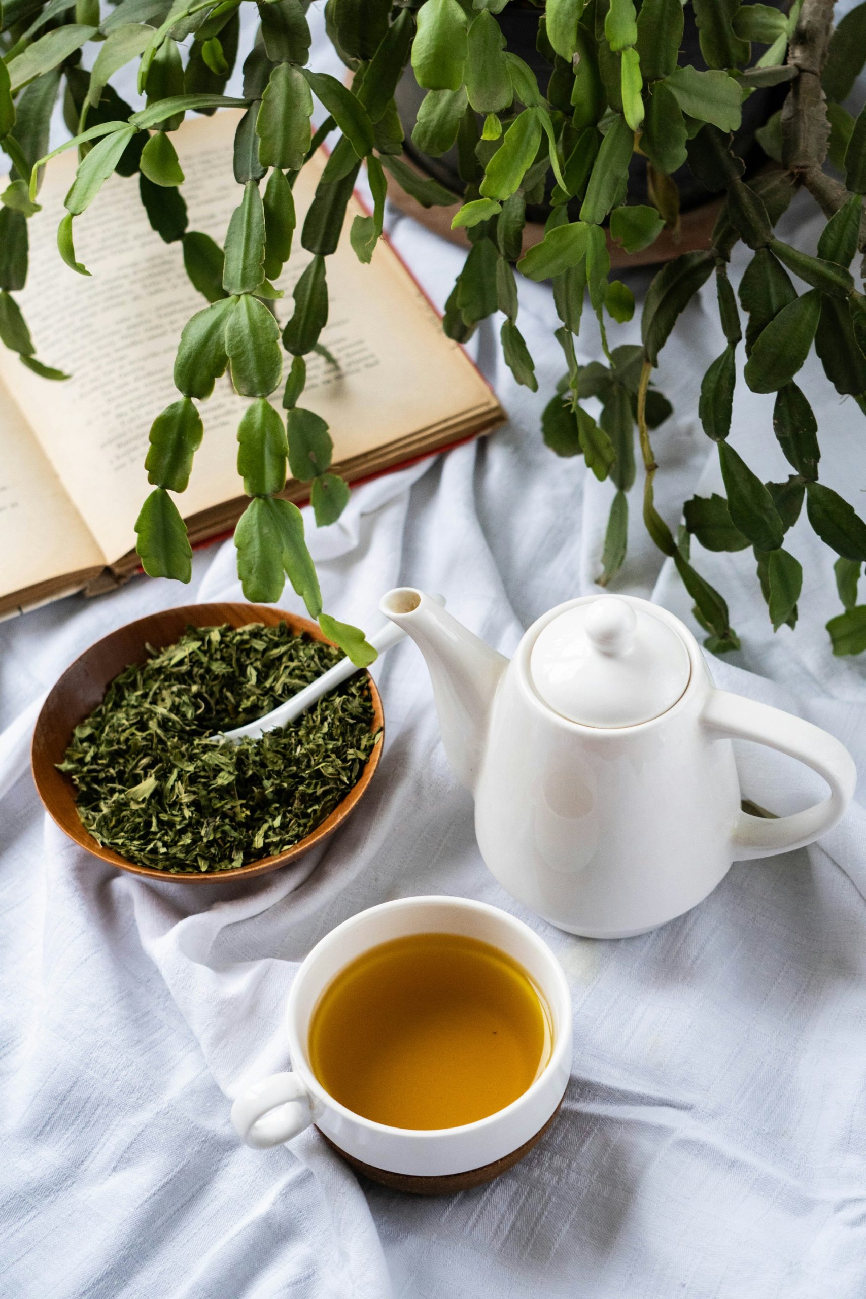 trà xanh ấm thanh nhiệt
