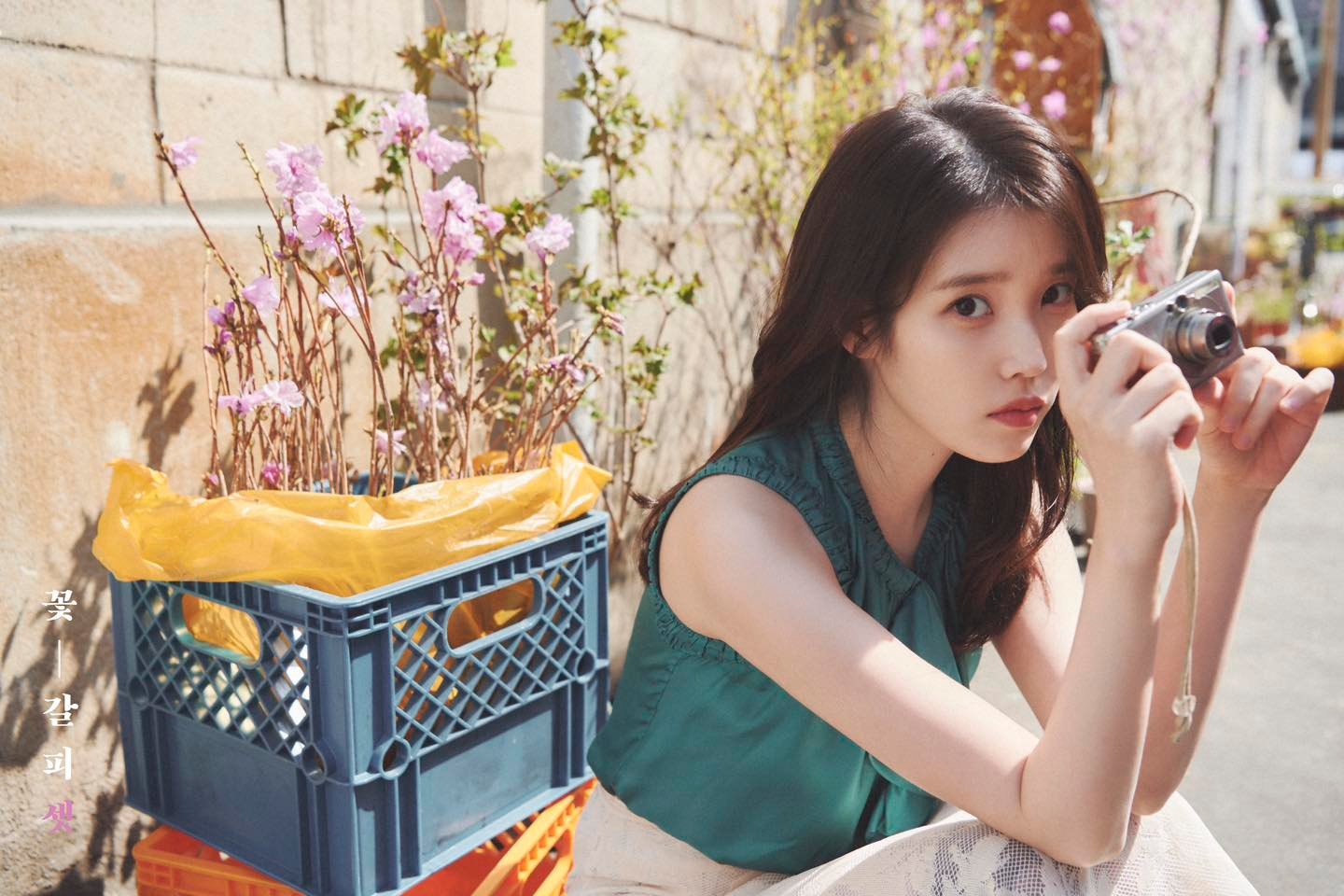 IU Flower Bookmark 3