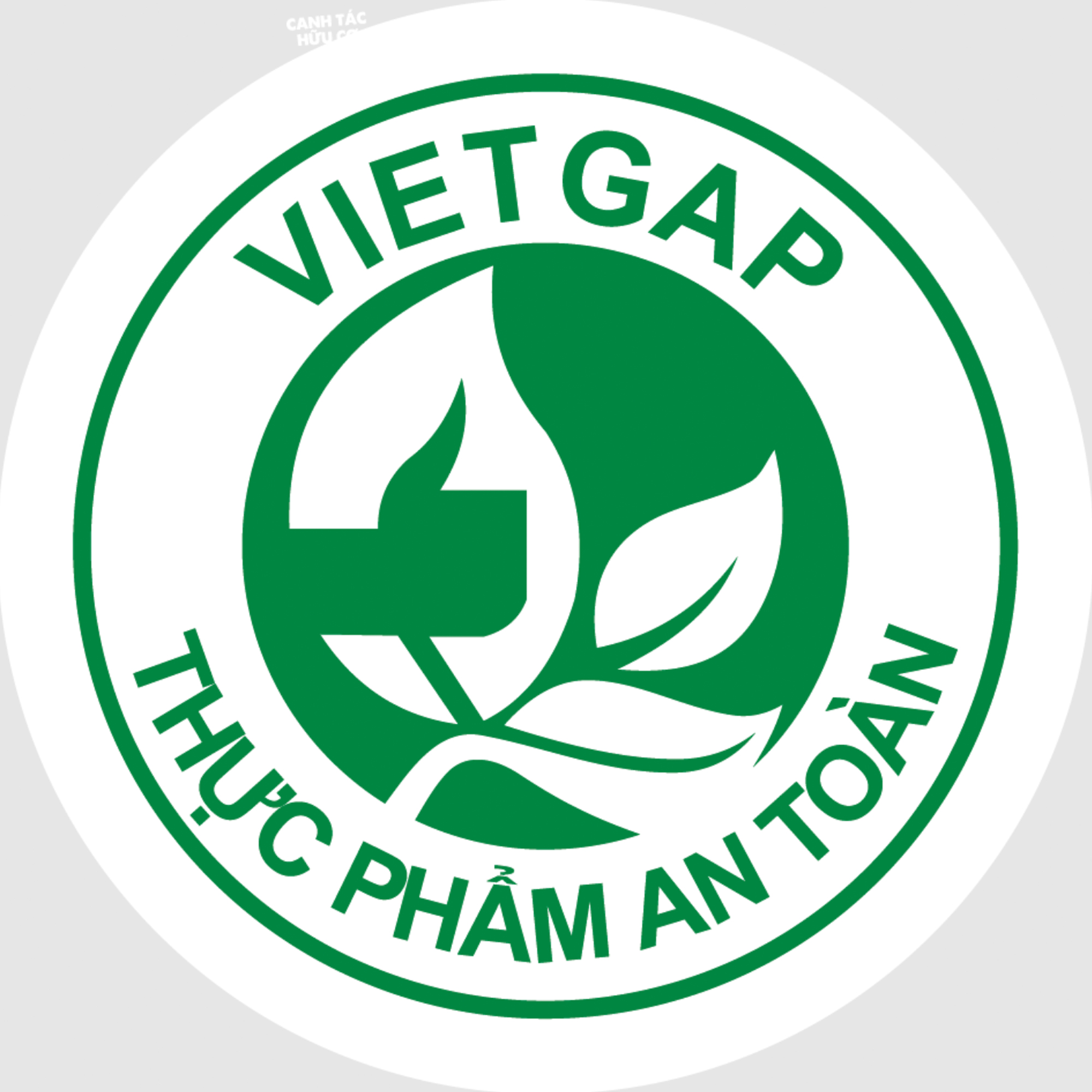 bền vững chứng nhận viet gap