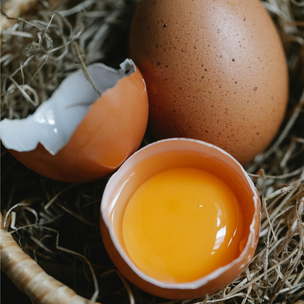 Lòng đỏ trứng giàu Choline giúp tăng cường trí nhớ