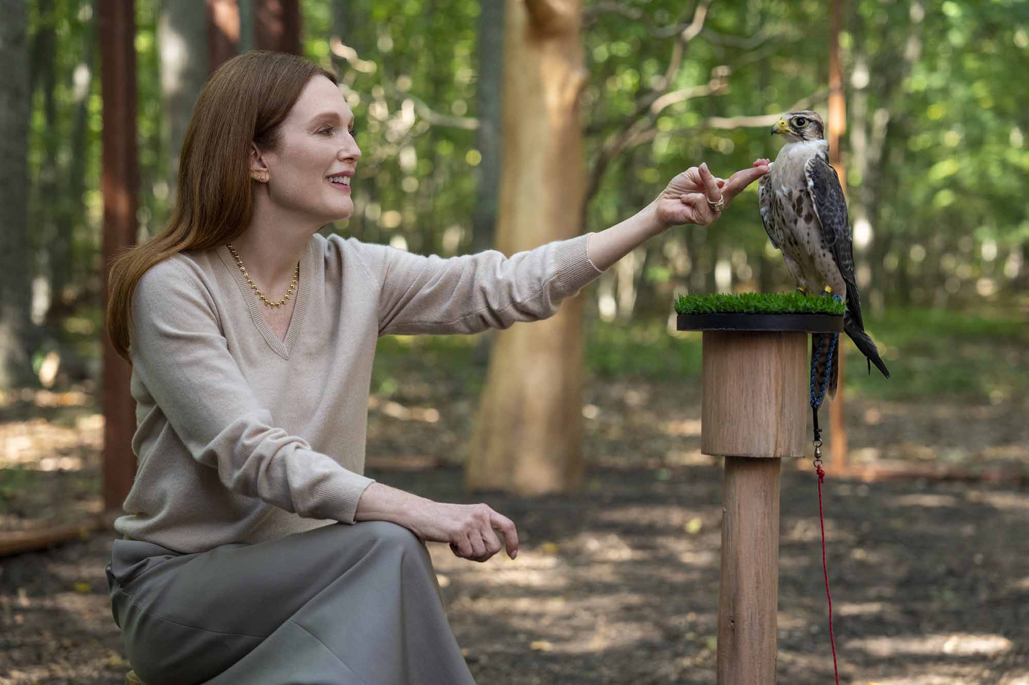 Julianne Moore as Michaela in Sirens elle