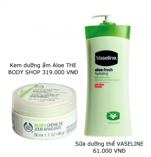 A. Aloe Barbandesis: Tên khoa học của cây nha đam - Với độ pH tương tự như pH của da, phần chất nhầy ở nha đam được sử dụng khá rộng rãi trong các loại kem dưỡng ẩm cho da mặt và cơ thể nhờ tác dụng giữ ẩm và dịu da. Ngoài ra, nha đam còn thúc đẩy quá trình làm lành da, đặc biệt khi da bị cháy nắng.