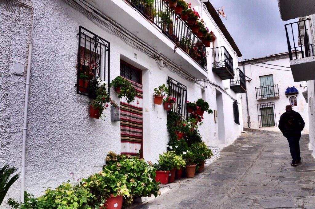 Hoa và cây lá luôn dễ sử dụng nhất, khiến ngôi nhà tươi mát và quyến rũ. Có thể chỉ là những chậu cây xếp kín trước nhà như ở làng Bubion (Tây Ban Nha)…
