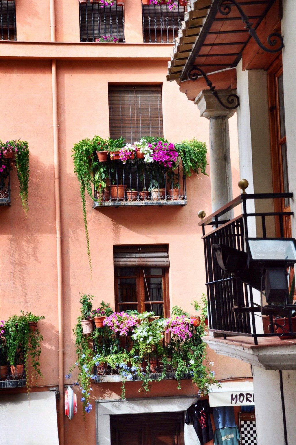Những ban công rực rỡ hoa có thể thắp sáng cả góc phố Granada (Tây Ban Nha)