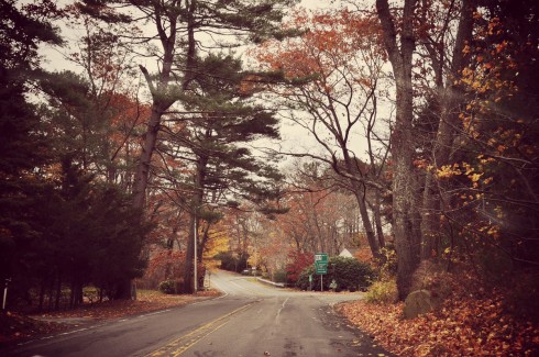 Lái xe lang thang là cách phổ biến nhất để ngắm lá đổi màu trên khắp các cung đường. Nên mùa thu cũng là mùa road trip (những chuyến đi bằng đường bộ) ở vùng New England.