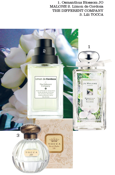 Tocca Liliana Eau de Parfum, Jo Malone Osmanthus Blossom