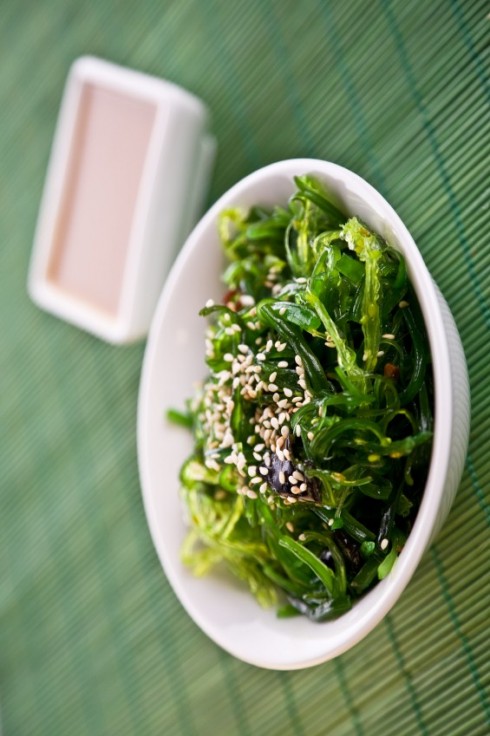 8. Rong biển