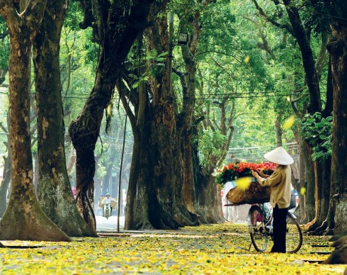 Xe hoa rực rỡ khoe sắc trên đường Phan Đình Phùng trong một buổi chiều Thu