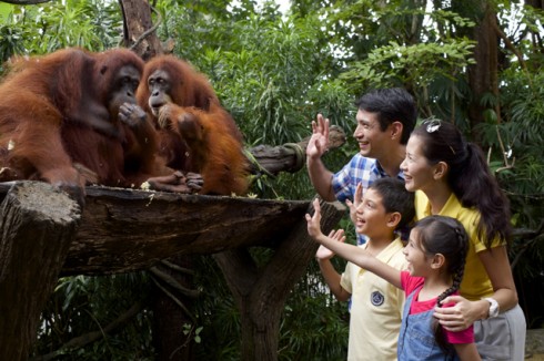 ellevn Singapore Zoo