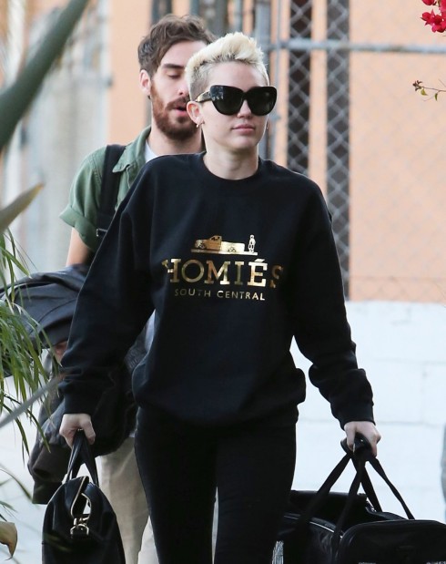 Miley Cyrus trong một thiết kế của Homiés