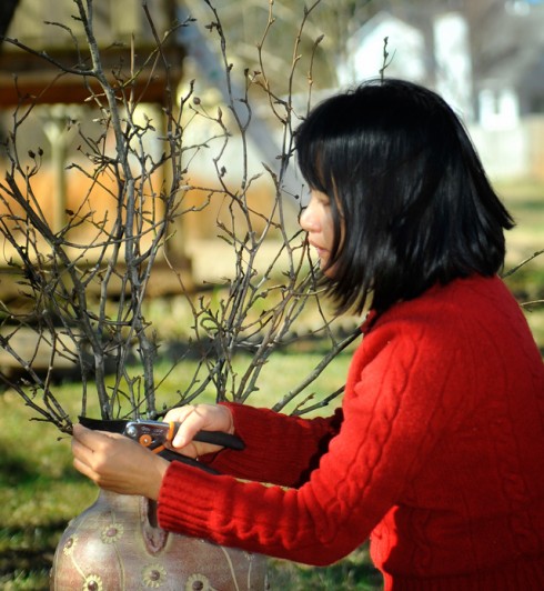 Chị Doãn Thanh Hương rất thích cùng gia đình chuẩn bị những cành hoa, chậu cây thật đẹp cho năm mới