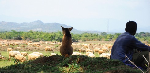 Du lịch Phan Rang