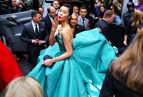 Liu Wen, Met Gala 2014