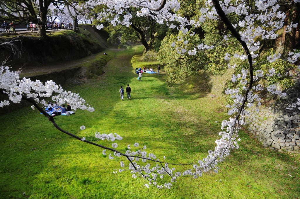 Vườn Nhật là một kiểu vườn cảnh truyền thống của văn hóa đất nước mặt trời mọc.