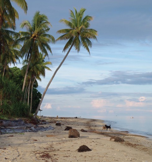 du lich kota kinabalu bai bien