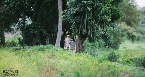 Tôi thấy hoa vàng trên cỏ xanh.